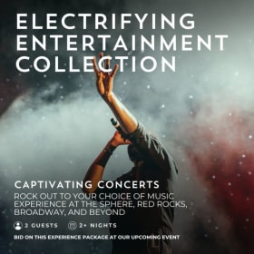Electrifying Entertainment Collection item