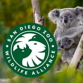 San Diego Zoo or Safari Park Tickets (2) item