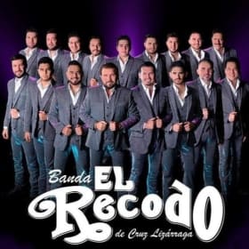 VIP Suite: Banda El Recodo Concert item