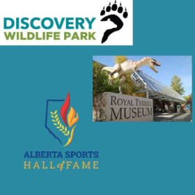 Family Adventure Passes item