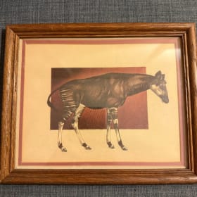 Framed Okapi Art item