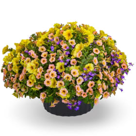 15" Hanging Flower Basket item