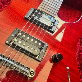 Paul Phillips Custom Electric Guitar item