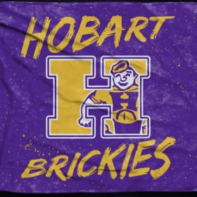 Purple Brickie Blanket item