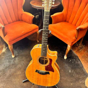 12 string Taylor acoustic guitar item