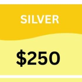Silver item