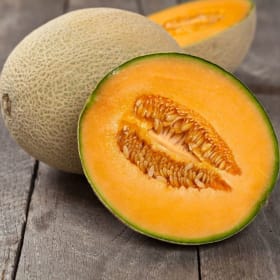 Cantaloupe, Iroquois - 4" item