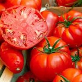 Tomato, Beefsteak - 4" item