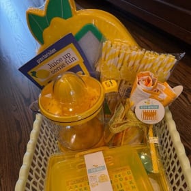 Lemonade Stand Starter Kit item