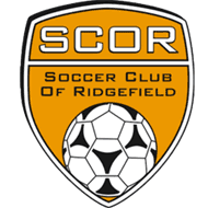 SCOR soccer training item