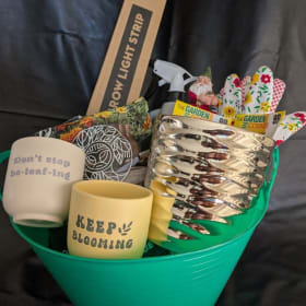 Indoor Plant Enthusiast's Starter Kit item