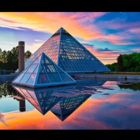 stop & smell the flowers item