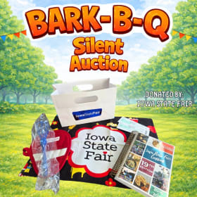 Iowa State Fair Basket item