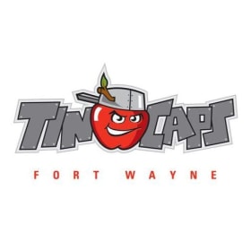 16 - Fort Wayne Tin Caps Tickets item