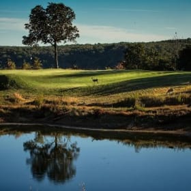 The Course at Sewanee - Golf for 4 - 18 holes with Carts item