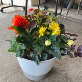 Photo of 12" Planter for SHADE