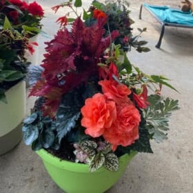Photo of 12" Planter for SHADE