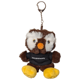 Photo of Small Owl Keychain
