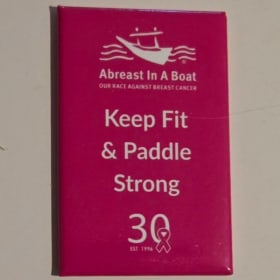AIAB Magnets item