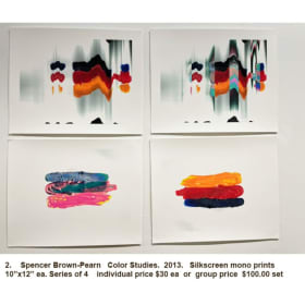 Color Studies 2013 item