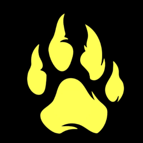 Photo of Paw