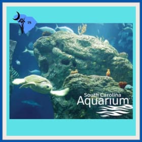 Explore SC Zoos and Aquarium item