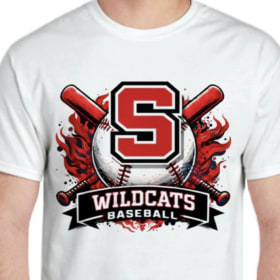Wildcat Baseball item