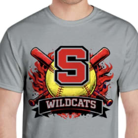 Wildcat softball item