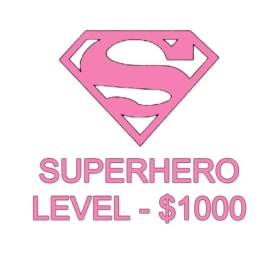 Superhero Sponsorship Level item