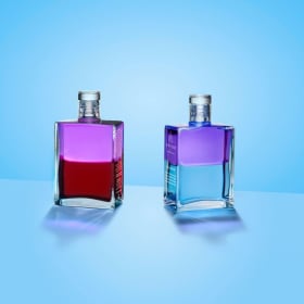 Aura-Soma Consultation Experience with Josefina Pilgrim item