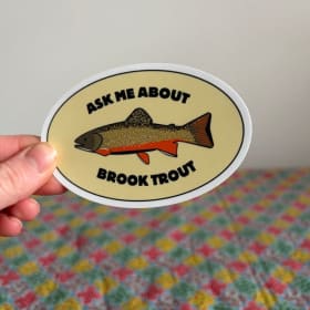 4X2.5" Ask Me About Brook Trout Vinyl Sticker item
