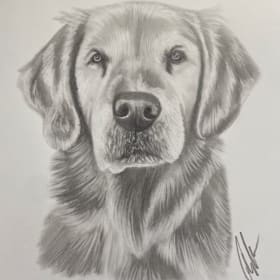 Custom Graphite Pet Portrait (8x10) + Bark Box item