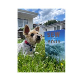 Special Edition Hardcover Sew Into You by Amity Malcom item