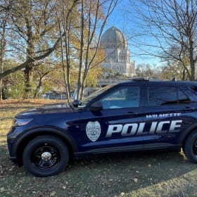 COPS & CONES item