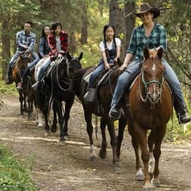 Boundary Ranch Trail Ride Experience (Kananaskis Country) item