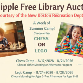 Week of Summer Camp -  Chess or Lego -up to $235 value item