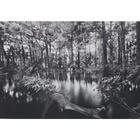 Loxahatchee River item