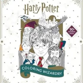 Harry Potter Books item