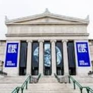 Escape to the Museum item