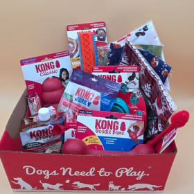 Kong Crazy Fun & Treats Basket 🐾🎁 item