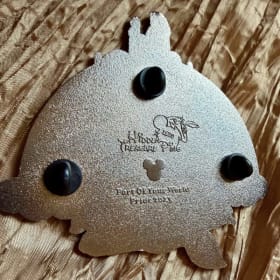 Hidden Treasure pin. item