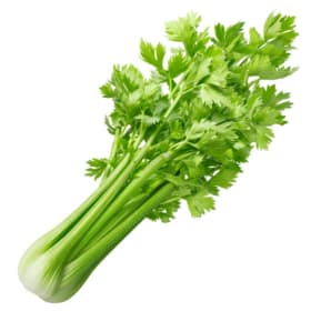 Céleri (semence) item