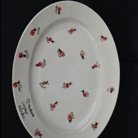 7. Ladybug Class Project item
