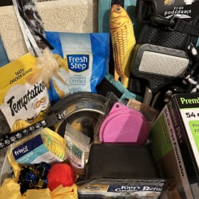 Chief’s Essential Cat basket! item