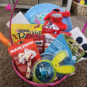 Pet of the Year Raffle Entry - 1 Entry item