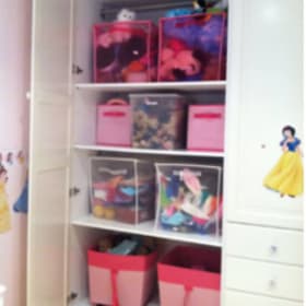 Genius Organizing - Two Hours of Organizing (Value $300) item