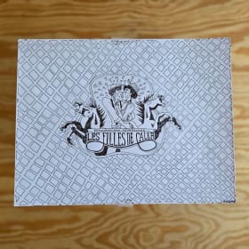 Illustrations originales de Zviane item