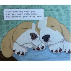 Notecards item