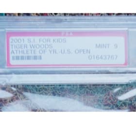 Tiger Woods Collectible Card item