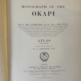 1910 Monogram of the Okapi Book item